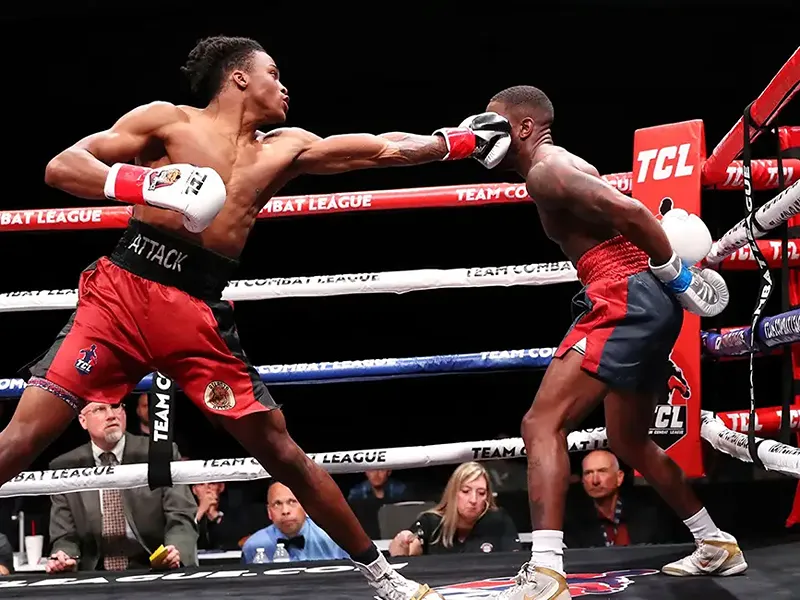 TCL Team Boxing